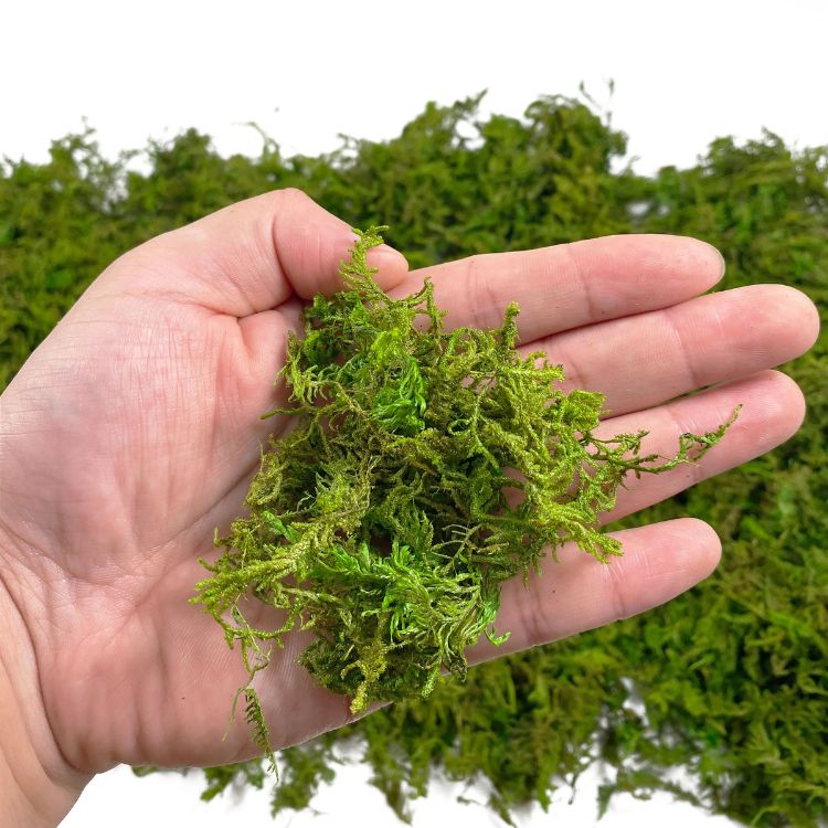 Another hand view showcasing the fine texture of artificial moss.