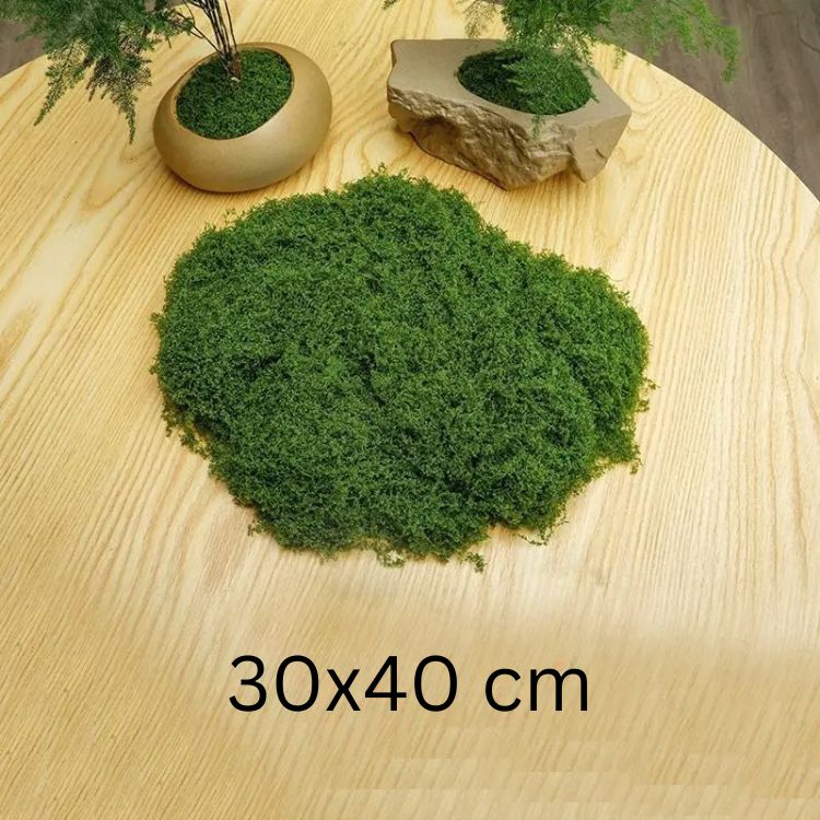 Small 30x40 cm piece of fake moss used for plant pot and decor display on wooden background.