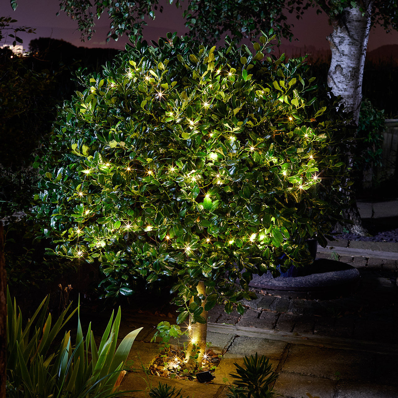 Firefly Fairy Light Solar Powered Garden Lights LED