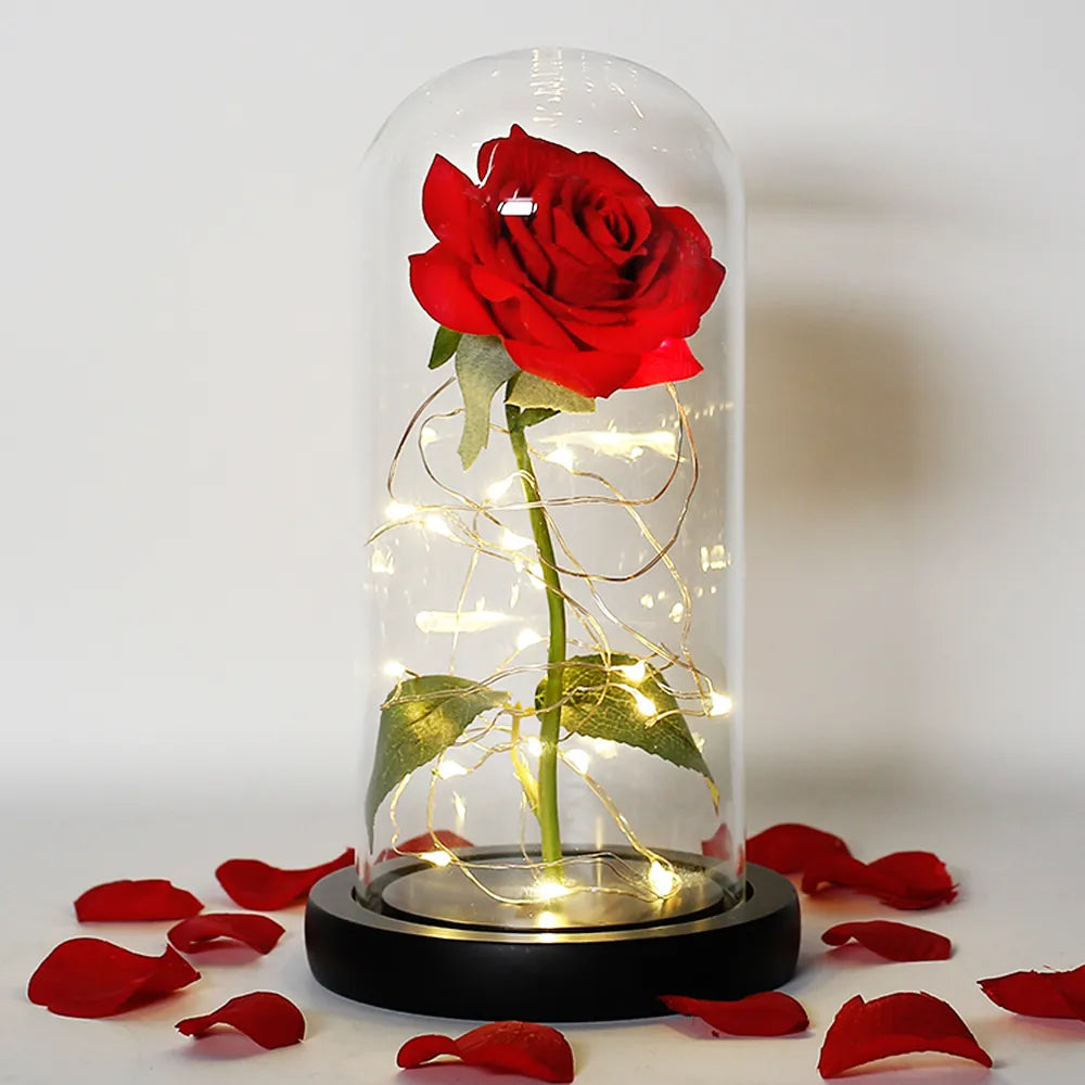 Eternal Rose in Glass Dome LED