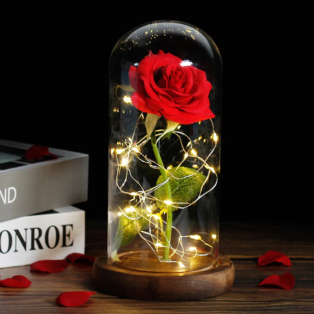 Eternal Rose in Glass Dome LED