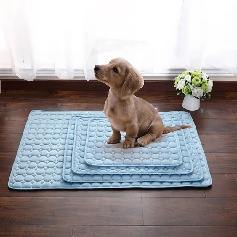 Dog sitting on a blue dog cooling mat near white curtain.