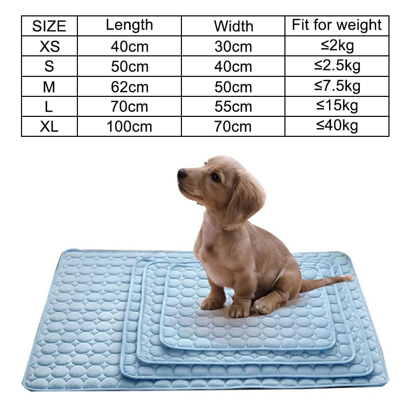 Small dog sitting on a blue dog cooling mat on wooden floor.