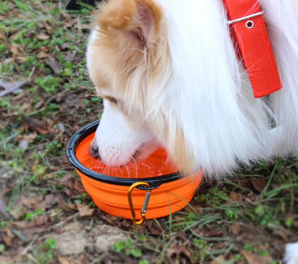 Collapsible Pet Dog Silicone Food Water Bowl