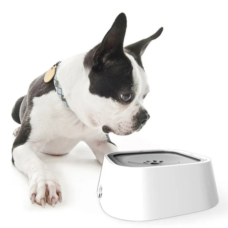 Slow Drinking Pet Water Bowl Anti Spill Dog Cat