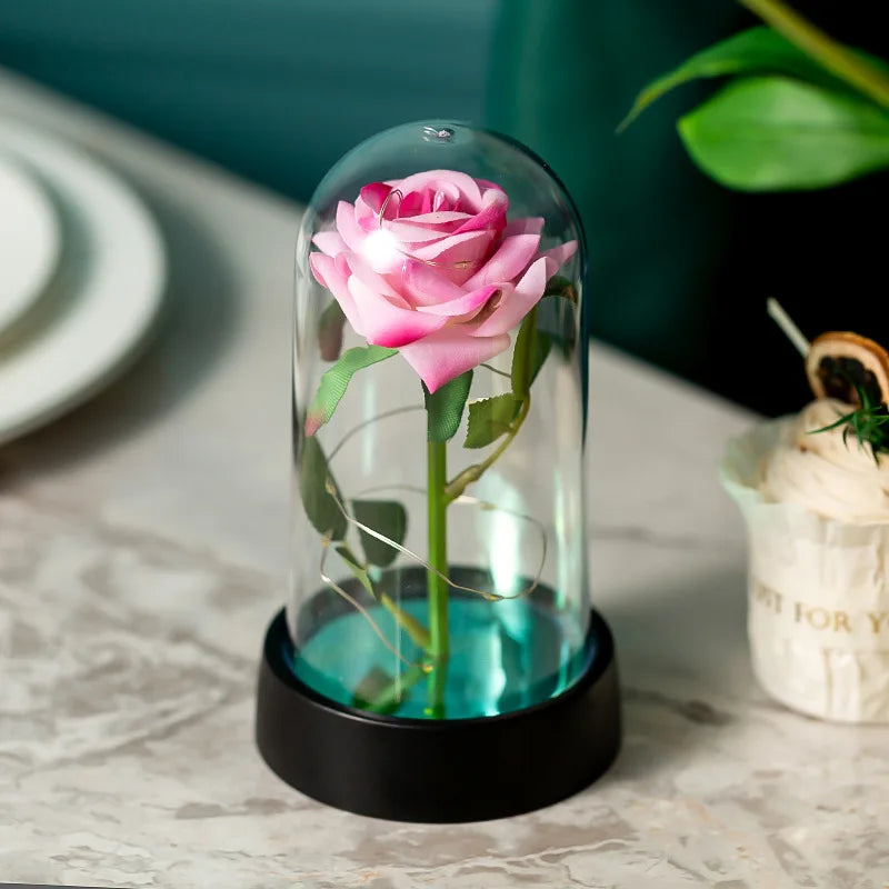 Eternal Rose In Dome LED