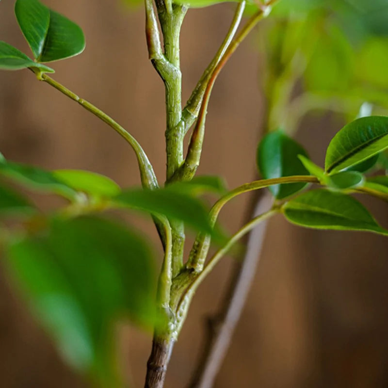 Large Artificial Banyan Plant