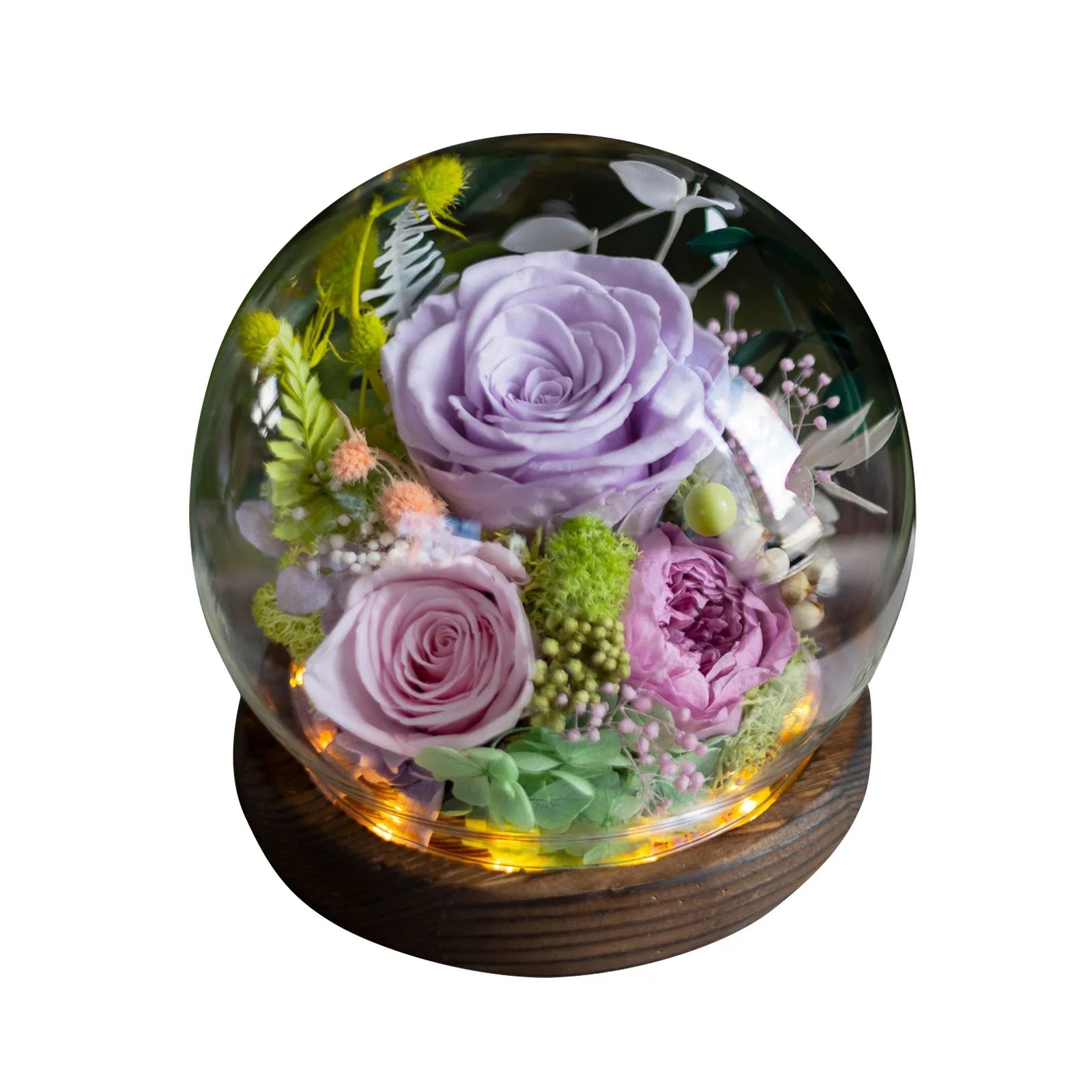 Preserved Rose in Dome