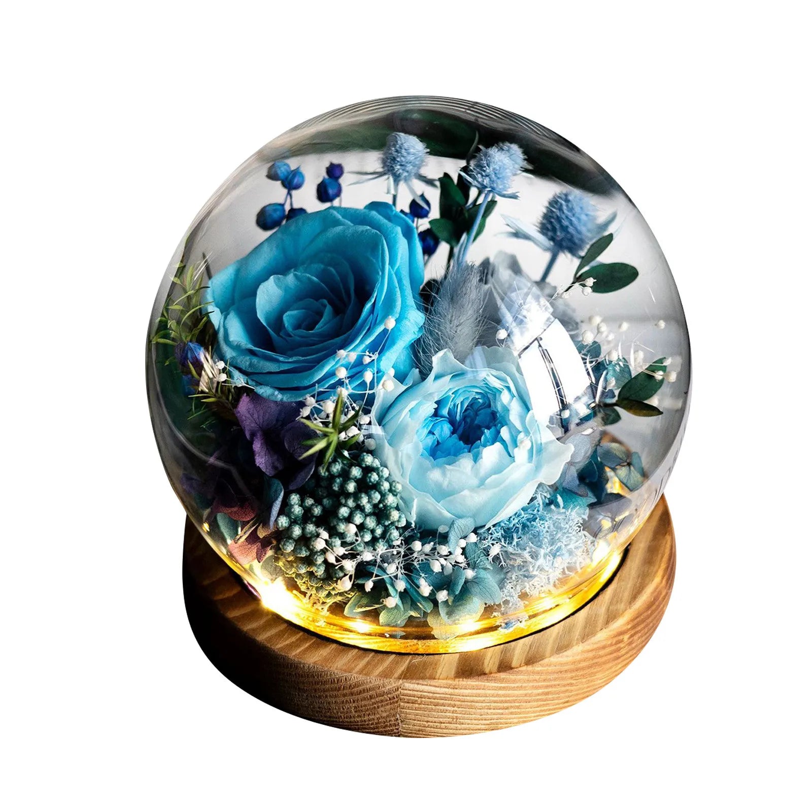 Preserved Rose in Dome