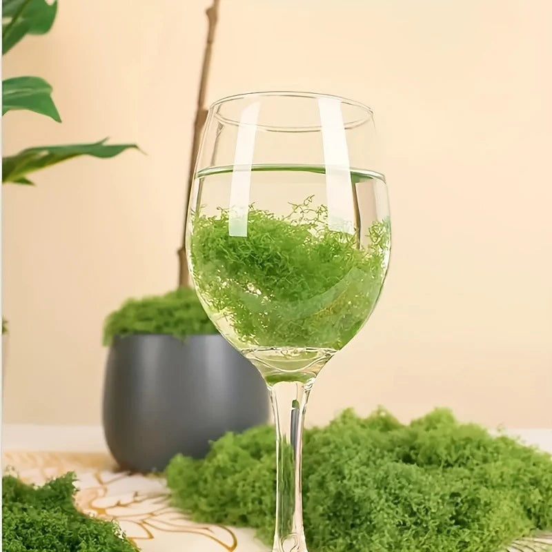 Fake moss floating in water inside a clear wine glass.