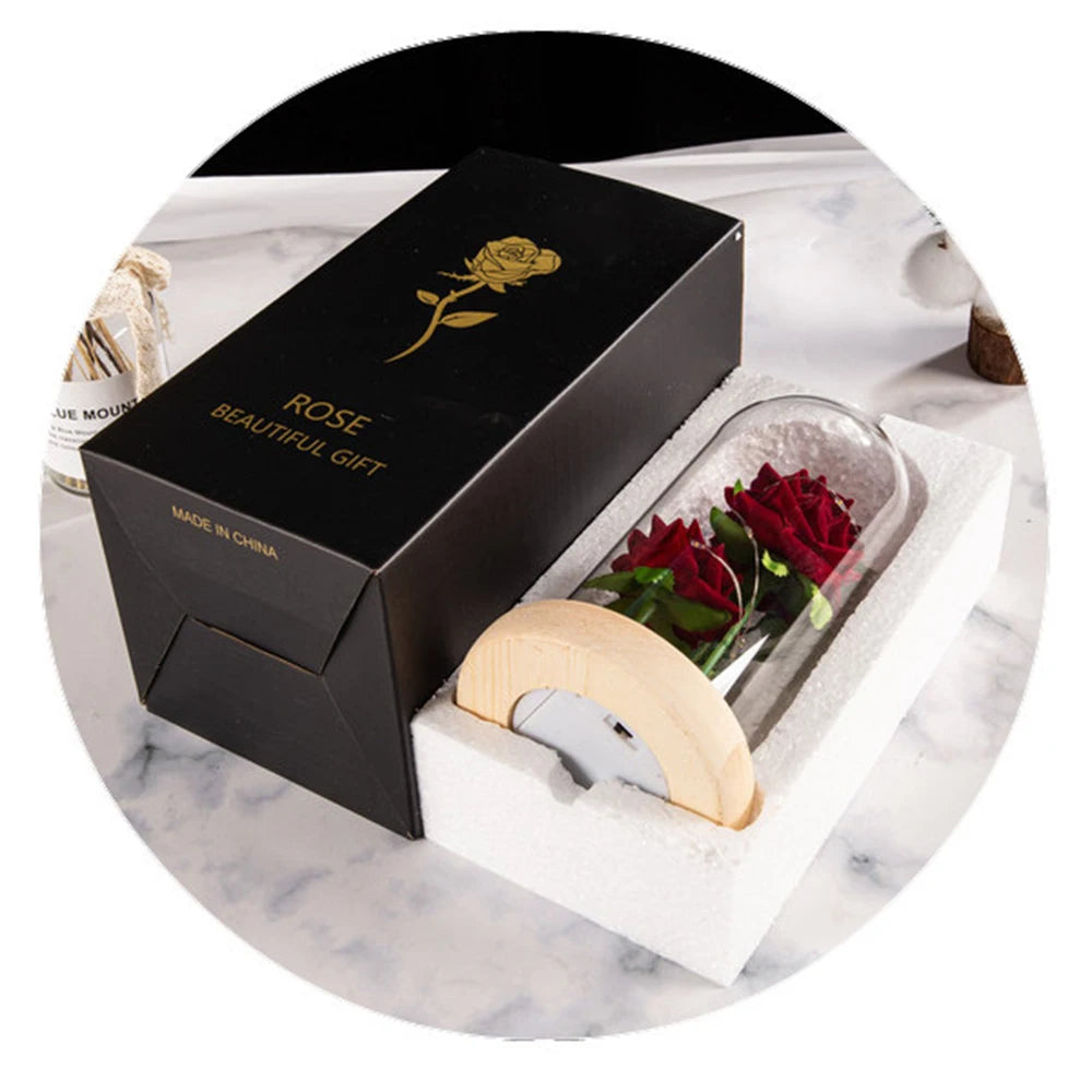 Eternal Rose In Dome LED