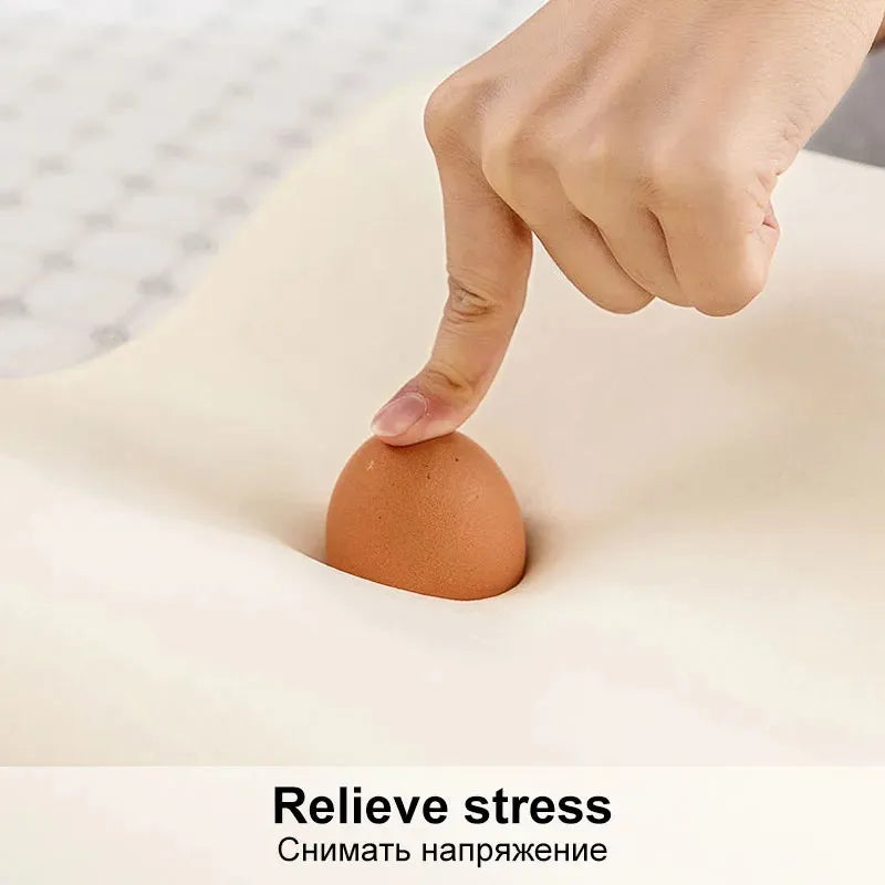 Memory Foam Hypoallergenic Pillow