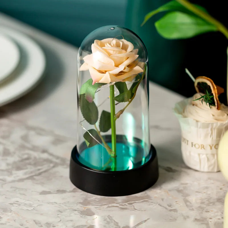 Eternal Rose In Dome LED
