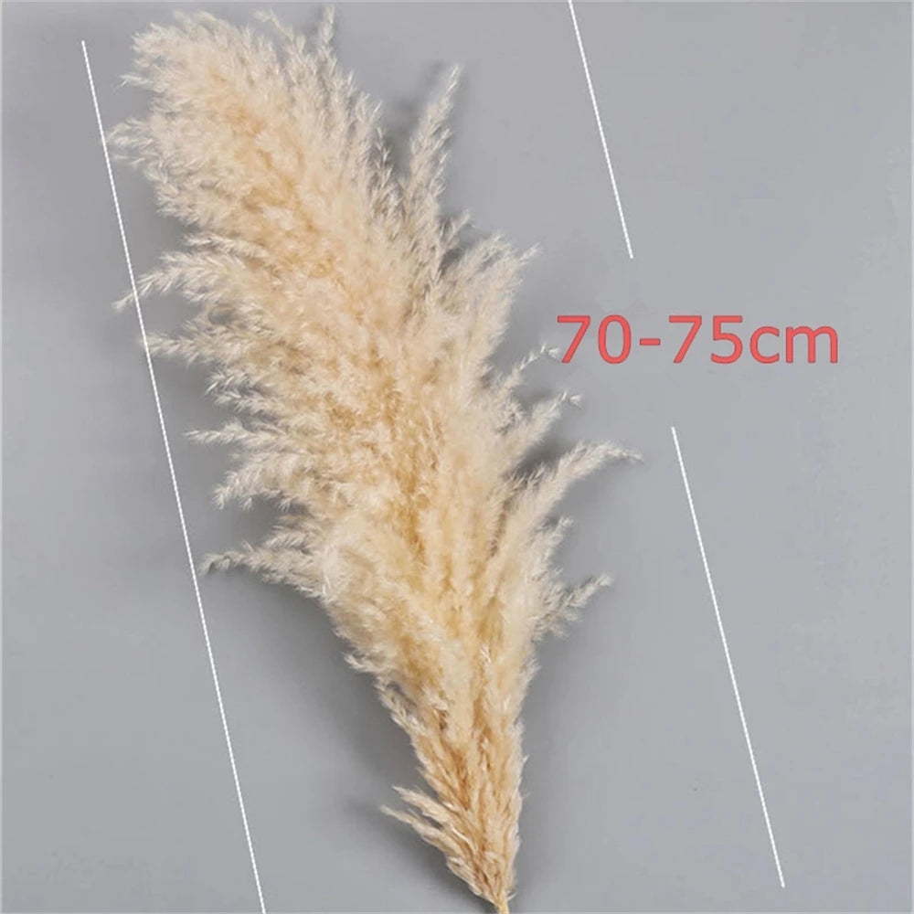 Jumbo Artificial Pampas Grass
