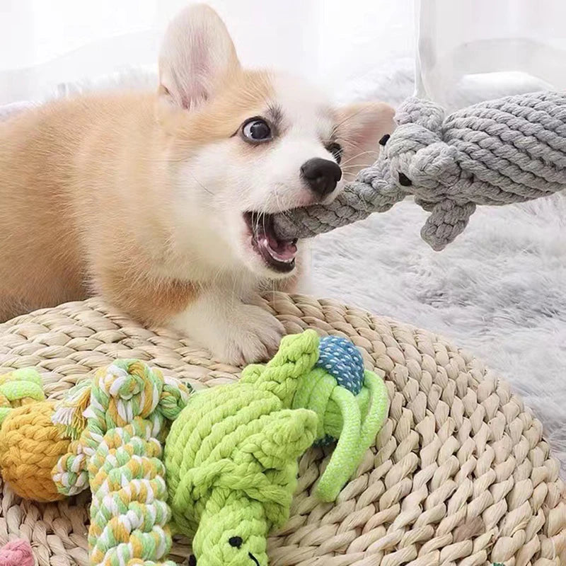 Rope Pet Toys