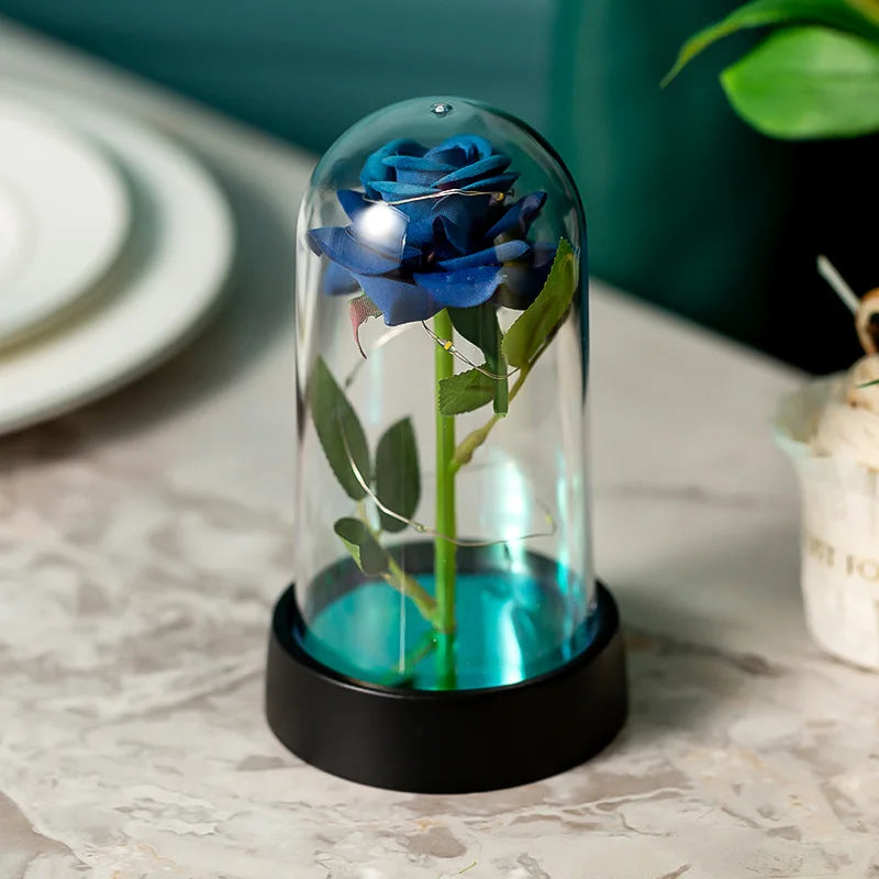 Eternal Rose In Dome LED