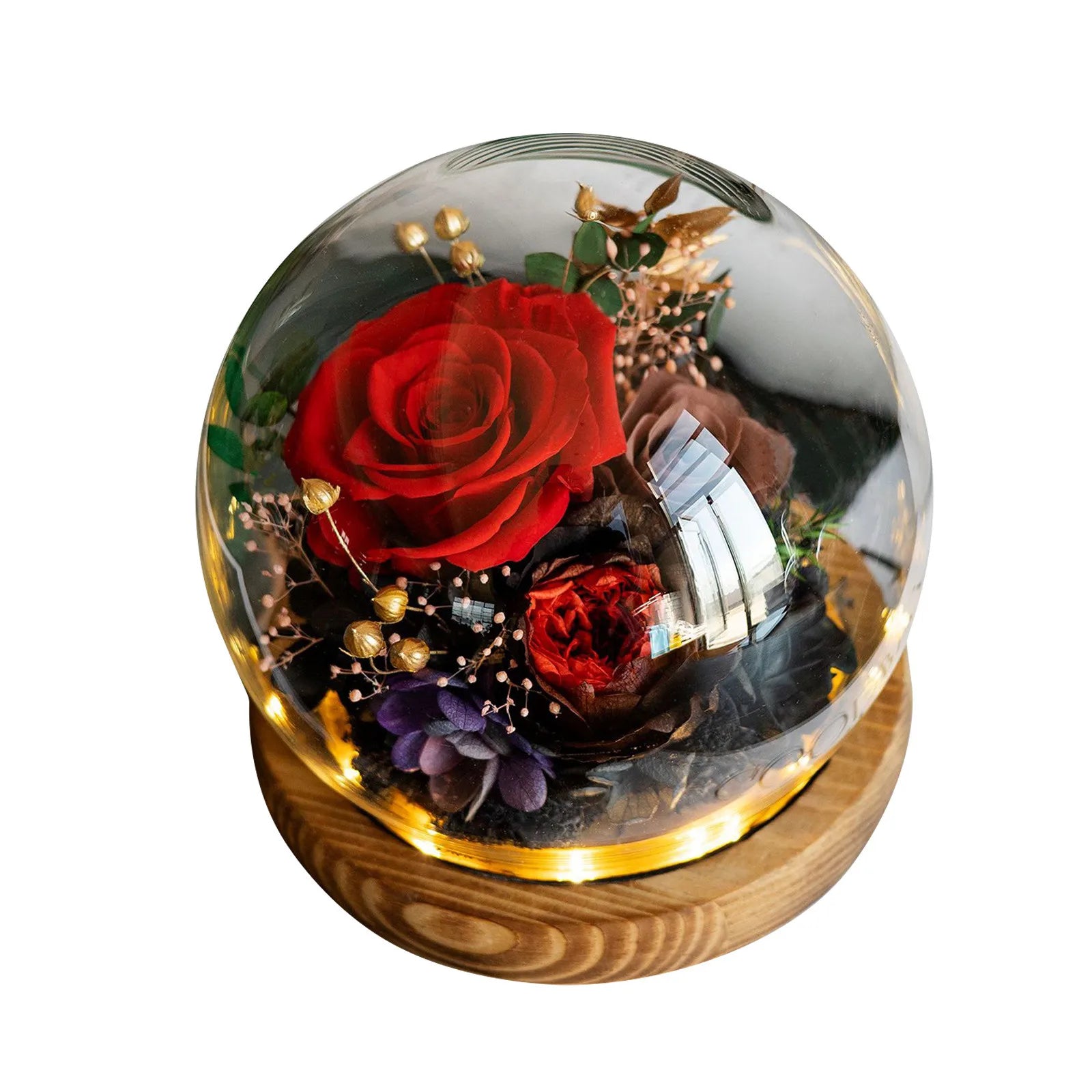 Preserved Rose in Dome