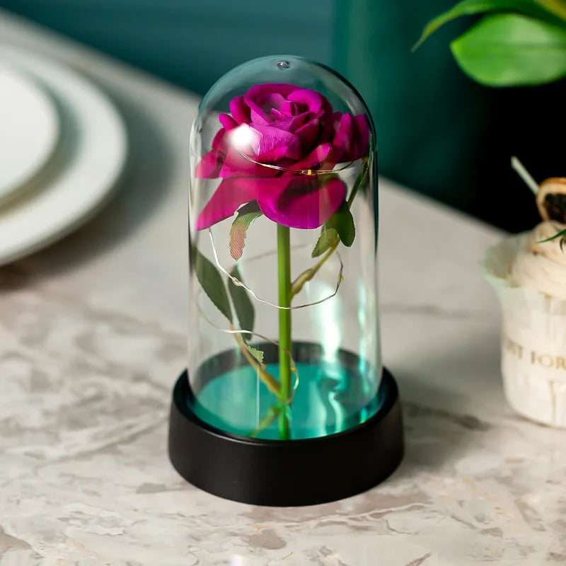 Eternal Rose In Dome LED