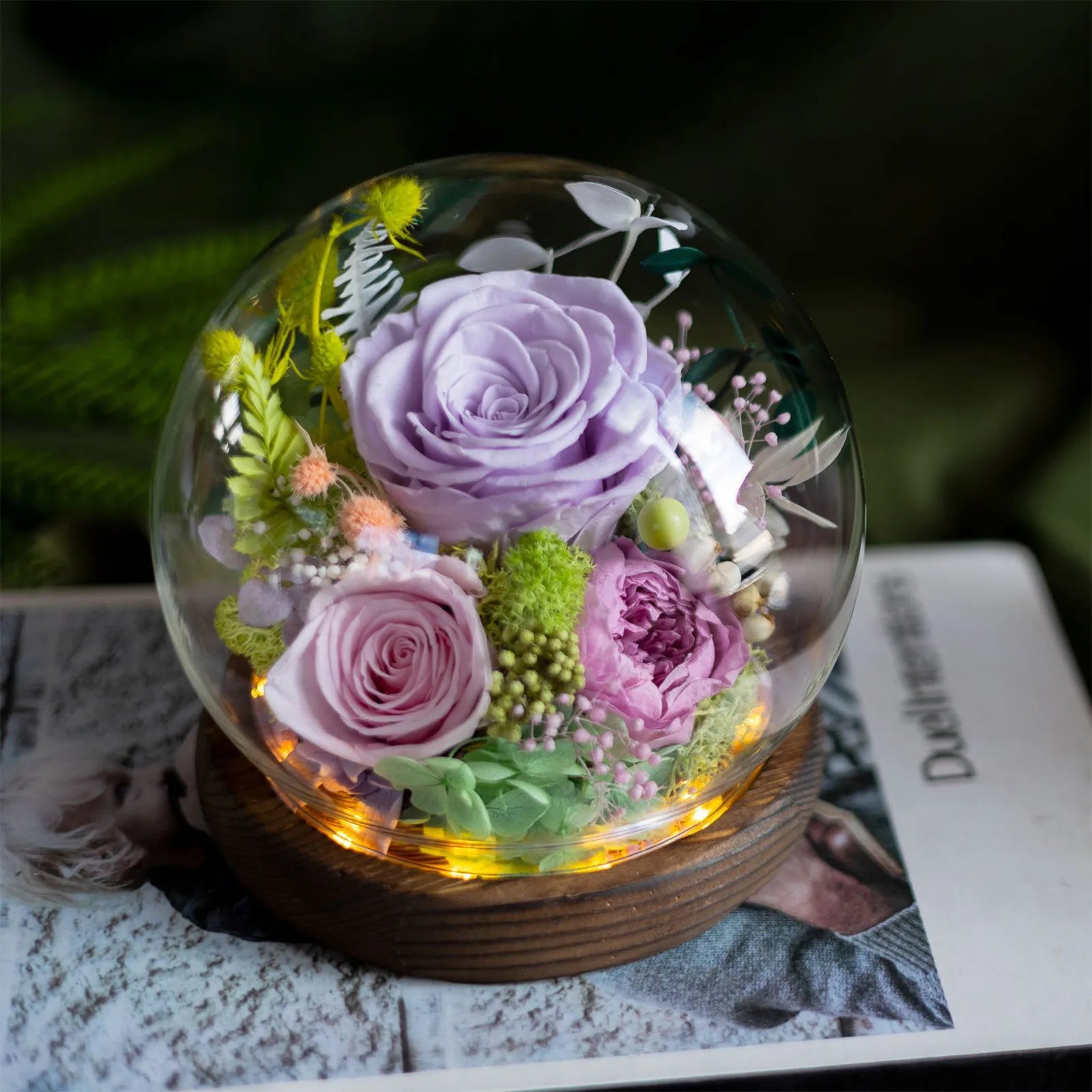 Preserved Rose in Dome
