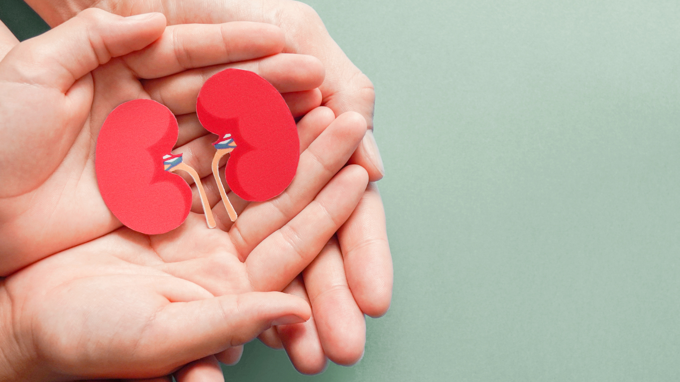 World Organ Donation Day UK: Saving Lives, One Selfless Act at a Time