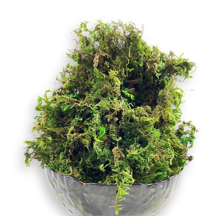 A bowl filled with lush green artificial moss on a white background.