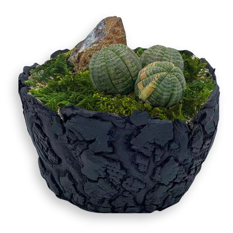 Artificial moss displayed with decorative stones in a textured black bowl.