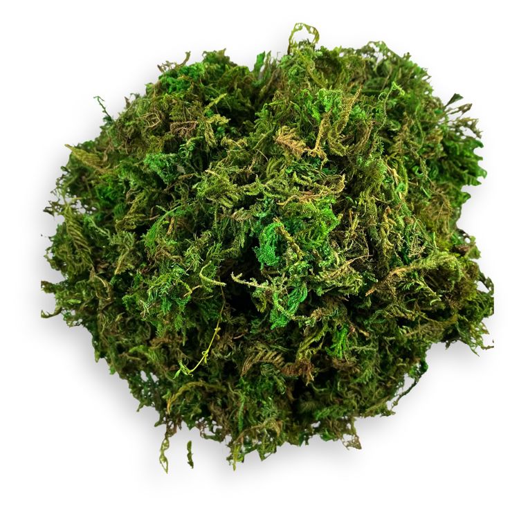 Loose artificial moss shaped into a small mound for crafting or decor.