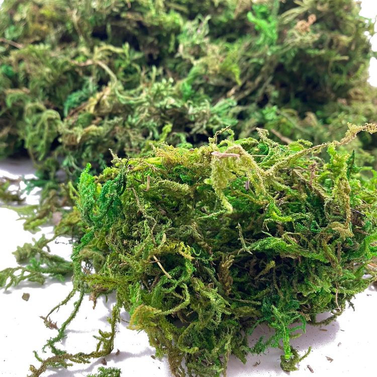 Close-up view of vibrant artificial moss fibers.