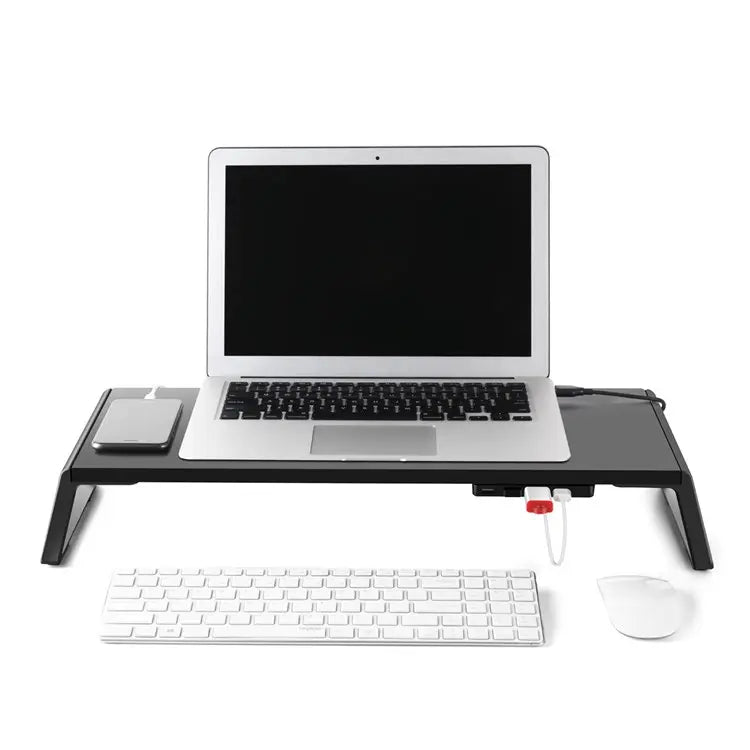 Monitor Laptop Screen Desk Riser Stand with 4 USB Ports Black
