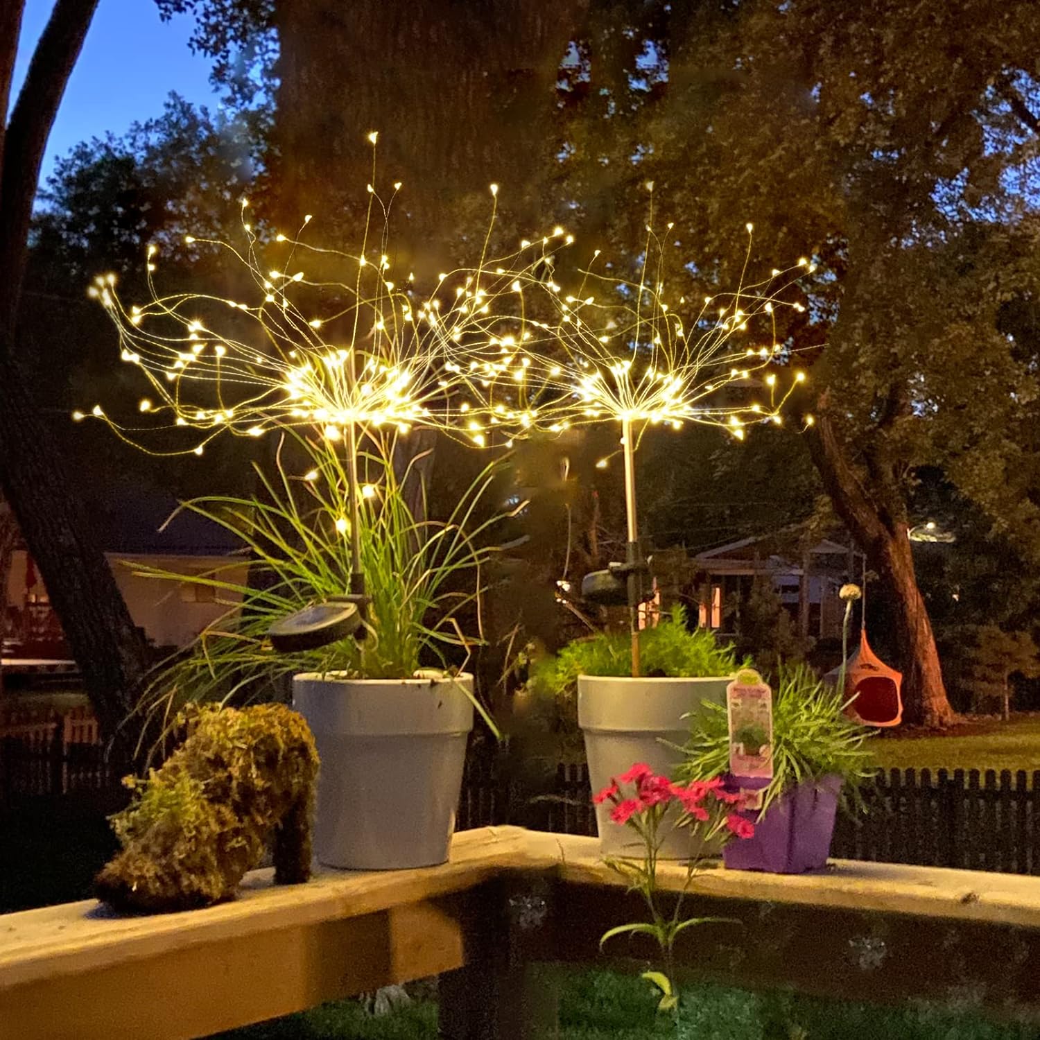 Firework Solar garden Light LED