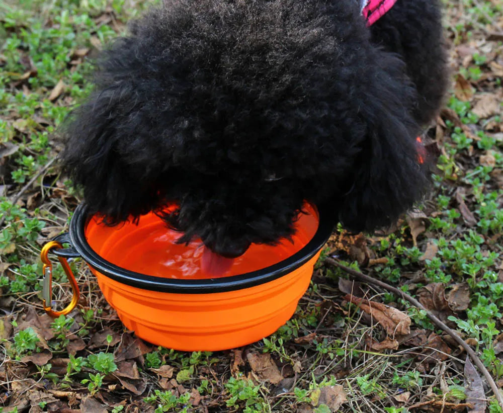Collapsible Pet Dog Silicone Food Water Bowl