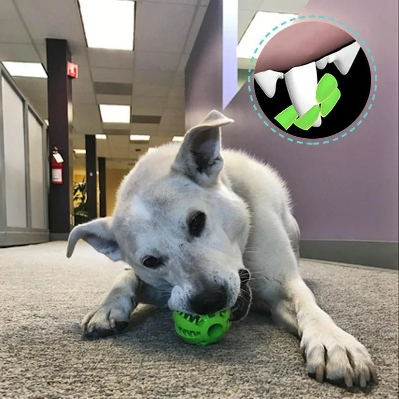 Extra-tough Tooth Cleaning Treat Ball Chew Toy for Dogs