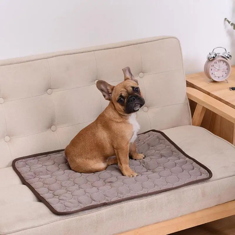 Dog cooling mat in brown with a French Bulldog sitting on a couch.