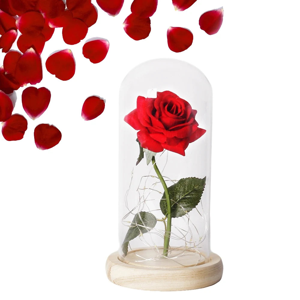 Eternal Rose in Glass Dome LED
