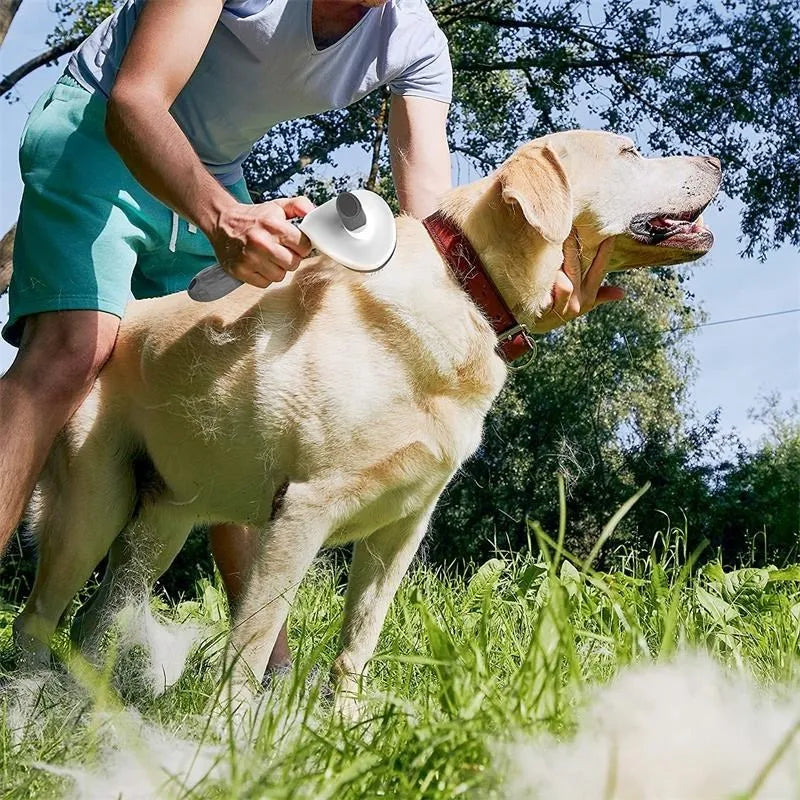 Self Cleaning Pet Grooming Brush for Dogs Cats with ergonomic handle