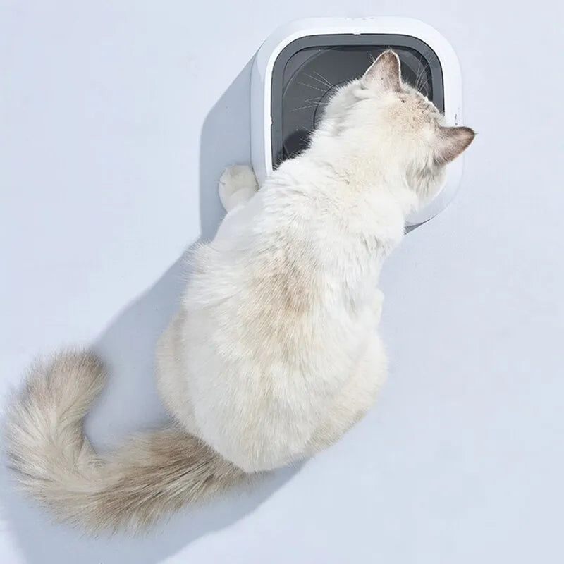 Slow Drinking Pet Water Bowl Anti Spill Dog Cat