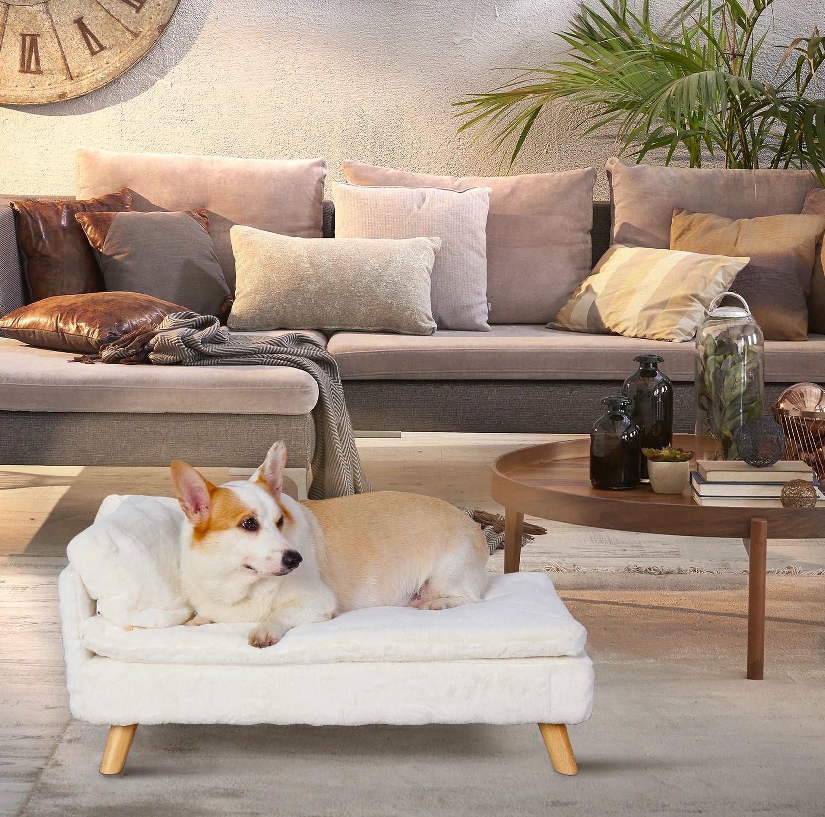Luxury Pet Sofa Indoor Couch